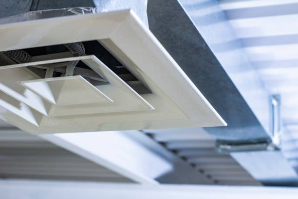 Air Duct Mold Removal in Honaunau Napoopoo, HI